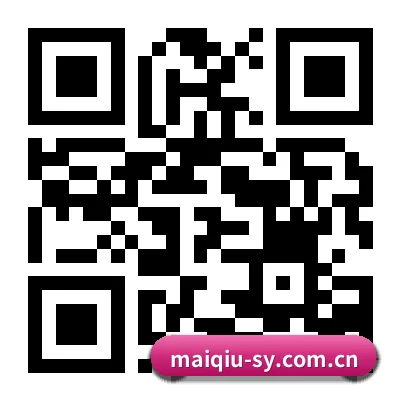 iOS 系统版 二维码